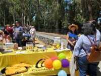 Cochlear Americas